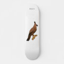Search for hawk skateboards Raptor