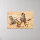 Search for posing art Bird
