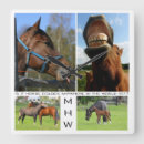 Search for equestrian clocks Animals