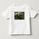 Search for musk ox tshirts Alaska