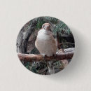 Search for flying birds badges Animals