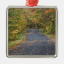 Search for fall autumn leaves christmas decor Landscape