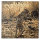 Search for namibia tiles Wildlife