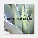 Search for tequila magnets Agave