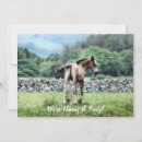 Search for colt invitations Cute