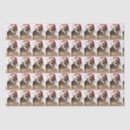 Search for german shepherd tissue paper Xmas