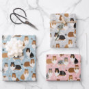 Search for collie wrapping paper Cute