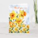 Search for daffodils thank you cards Narcissus