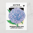 Search for aster flower postcards Asters