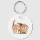 Search for bunny rabbit key rings Funny