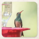Search for belly barware Bird