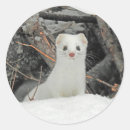 Search for winter night stickers Animal