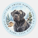 Search for cane corso stickers Puppy