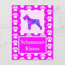 Search for miniature schnauzer postcards Animals