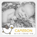 Search for duck photo stickers Cute