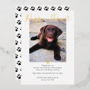 Search for pet adoption invitations New puppy