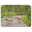 Search for danita delimont ipad cases rocky mountain national park