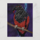 Search for lightening cards Fantasy