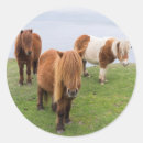 Search for pasture stickers Brown