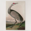 Search for audubon birds puzzles Birds of america