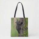 Search for danita delimont tote bags Wildlife
