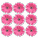 Search for pink gerbera daisy stickers Flower