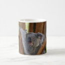 Search for koala bears mugs Wildlife