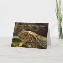 Search for toad birthday cards Animal