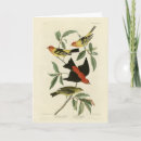 Search for louisiana cards Illustration