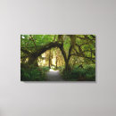 Search for olympic art Hoh rainforest