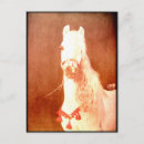 Search for ponies postcards White pony