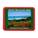 Search for bay magnets Travel