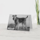 Search for airedale puppy cards Puppies