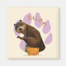 Search for mentor magnets Big brown bear