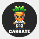 Search for marty stickers Karate girl