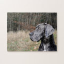 Search for great dane puzzles Canine