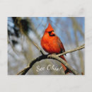 Search for cardinal postcards Ohio
