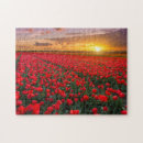 Search for tulip puzzles Farm