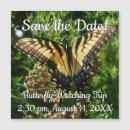 Search for butterfly save the dates Nature