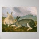 Search for vintage easter posters Hare