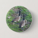 Search for geese badges Gosling