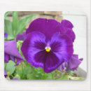 Search for pansies mousepads Pansy