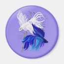Search for betta kitchen dining Fighting