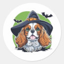 Search for witches stickers Pumpkin