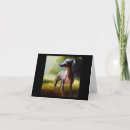 Search for italian greyhound cards Pet
