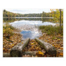 Search for northwoods art Lake