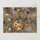 Search for orange daisy postcards White