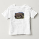 Search for animal behaviour tshirts Elephant