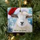 Search for santa sheep christmas tree decorations Funny