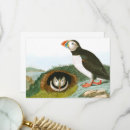 Search for audubon cards Nature